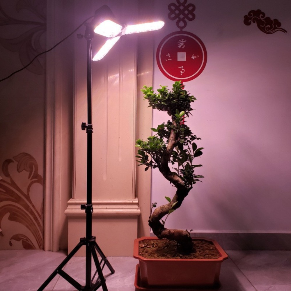 Light Bulb Stand 2M, E27 AC So – Photography Bulb recenzja i cena
