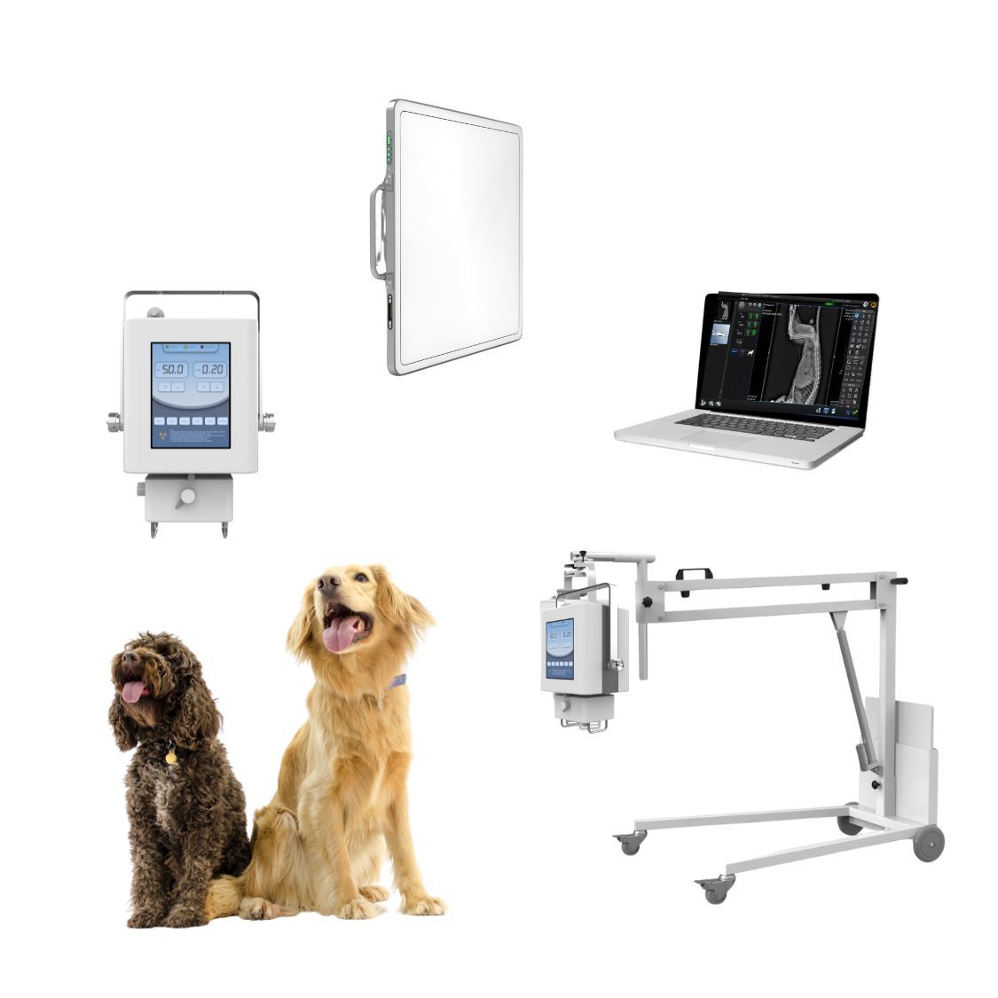 Digital X-ray photography high – Photography X Ray recenzja i cena