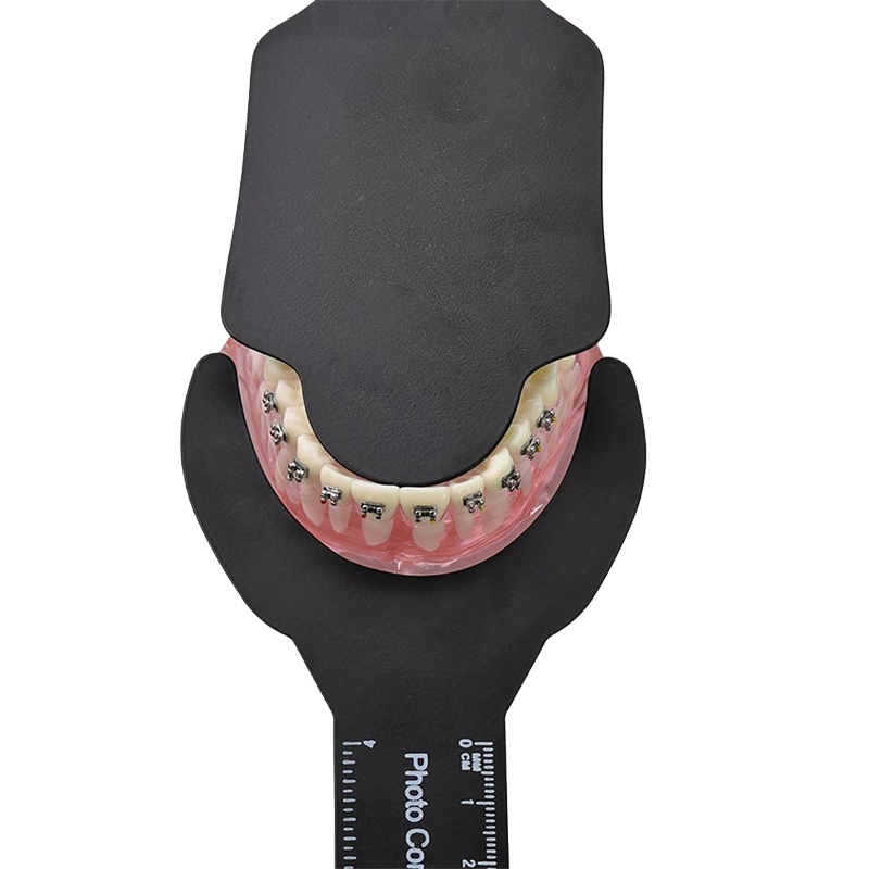 Dental Photography dentistry P – Photography Dental recenzja i cena