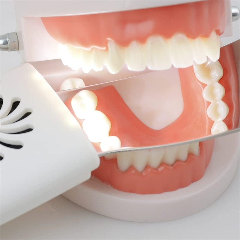 Dental Anti-Fog Mirrors With L – Photography Dental recenzja i cena