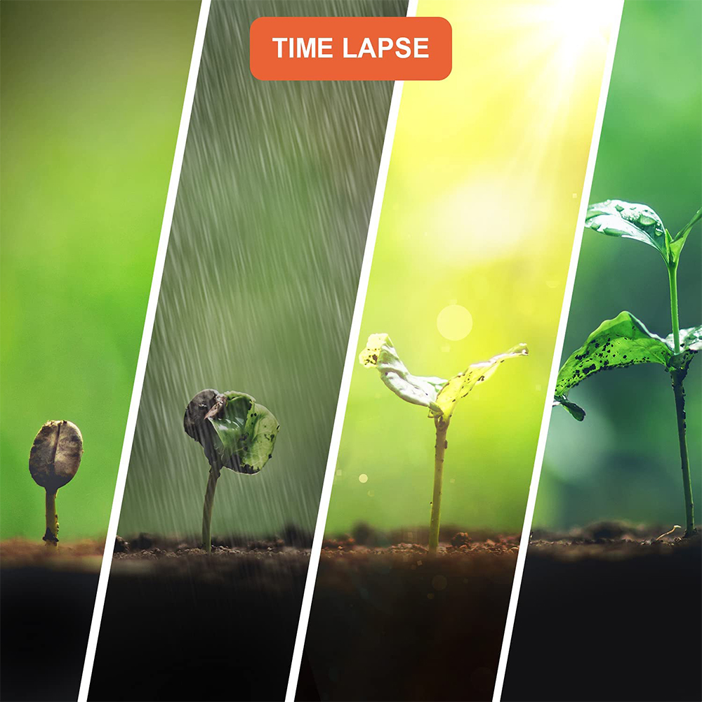 TL2300 Camera 2.4” LCD Time-La – Timelapse Controller recenzja i cena
