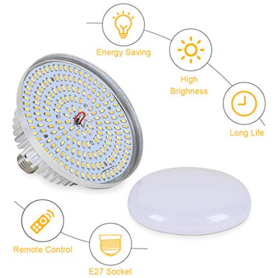 Continuous Lighting Kit for Ca – Photography Bulb recenzja i cena
